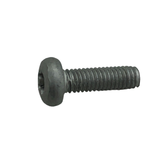 TORX.SCHR. M6X20 10.9 Zink-Lam. Silber